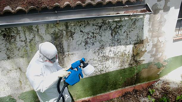 Top rated local Mold Remediation specialists in Kempton, PA
